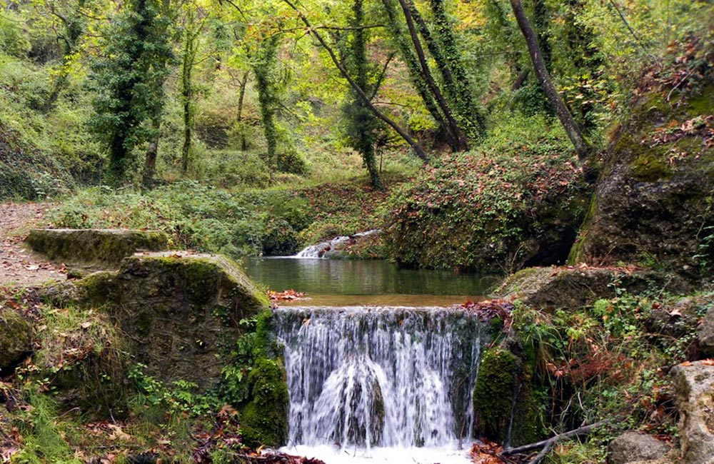 evrostina
