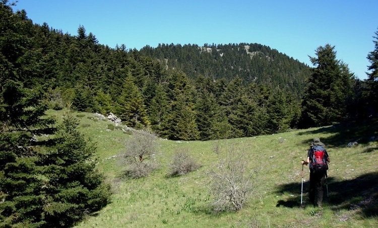 mainalo